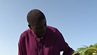Innovative Farming Produces More Fruit an...